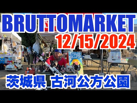 ブルットマーケット 12/15/2025 【 フレンチブルドッグ french_bulldog 】 茨城県 古河公方公園