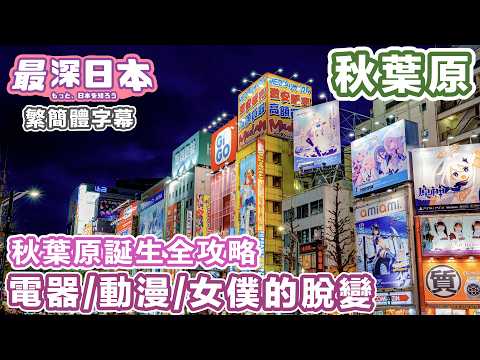 Akihabara: From Electric Town to Anime City & Maid Cafe Culture | The Fading Shadow of Electric Town