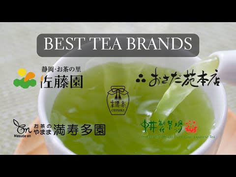 The Best Green Tea Brands - 10 Tea Brands You Have to Try!