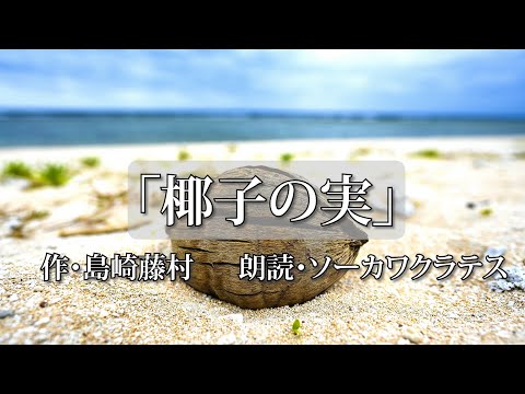 〜「椰子の実」島崎藤村〜 朗読編 Vol.１９