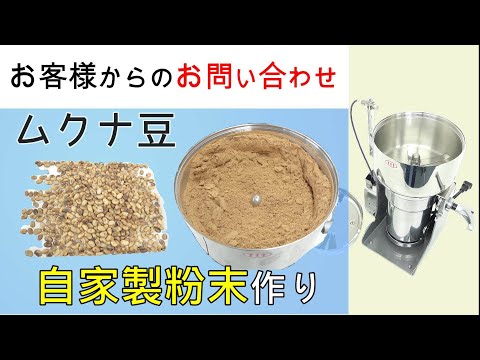 自家栽培しているムクナ豆の粉末化を検討しております【お問い合わせ】