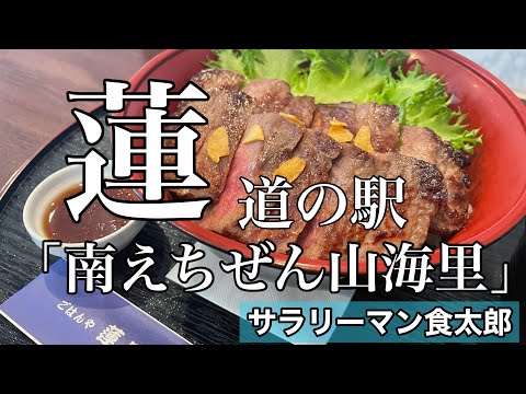 【孤独のグルメ案内】道の駅「南えちぜん山海里」ステーキ丼＠ごはんや蓮 南条SA（上り）