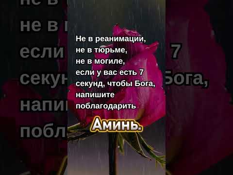 🎁Нажмите для получения сюрпризов👆