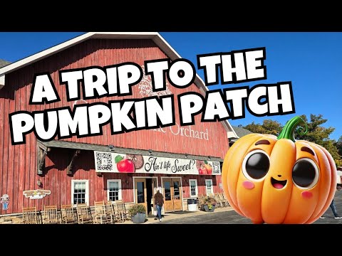 Pumpkin Patch Trip | Apple Orchard | Daycare |School Field Trip Country Line Orchard in Indiana