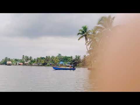 Mullakkal Backwaters |  Backwater Tour | Kerala | India | 4K Video