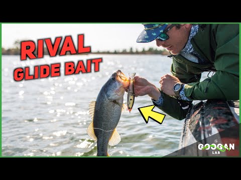 Breaking Down the GOOGAN RIVAL GLIDE BAIT ( Fishing Tips )