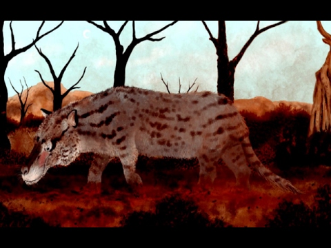 Paleo Profile - Andrewsarchus