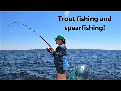 Trout fishing and spearfishing! Catch clean cook