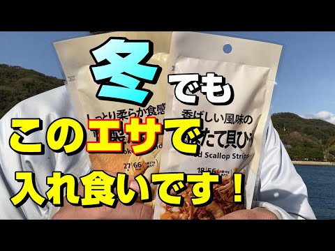 冬の爆風の中でも釣れますよ♪釣りたての魚で作る温かい味噌汁は最強です！ 【57釣目】