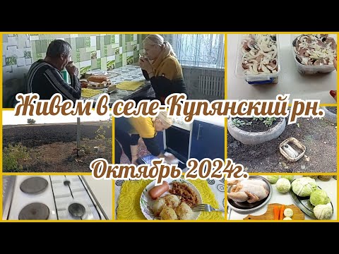 село Купянский р-н/Чищу духовку/Спахали огород/Что готовила🤗