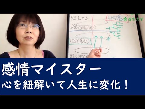 感情マイスター　心を紐解いて人生に変化！ショートバージョン｜養生大学