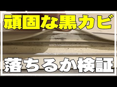 かびとりいっぱつはどの程度のカビまで落ちるのか。お風呂のドアのゴムパッキンで検証してみたよ。カビ取り一発