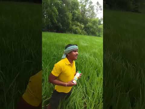 096  Farmer from Hooghly District | West Bengal | Nano Urea Testimonial