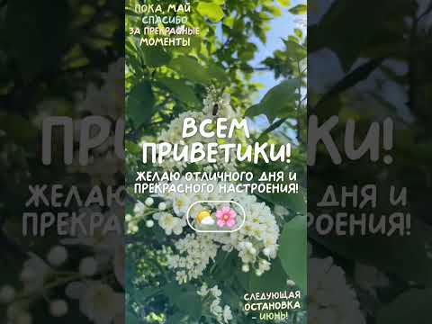 Через 2 дня лето🌞🌸💕🤗