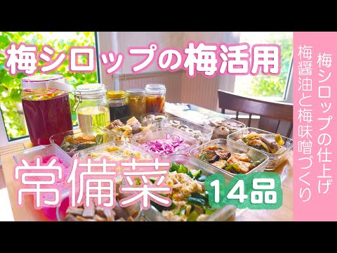 常備菜14品【梅シロップの梅活用】梅シロップの仕上げ。梅醤油と梅味噌づくり。そのあと、常備菜づくり。ただの主婦が作り置きに挑戦。