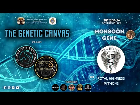 The Genetic Canvas - Ep 1 - MONSOON GENE w/ Royal Highness Pythons