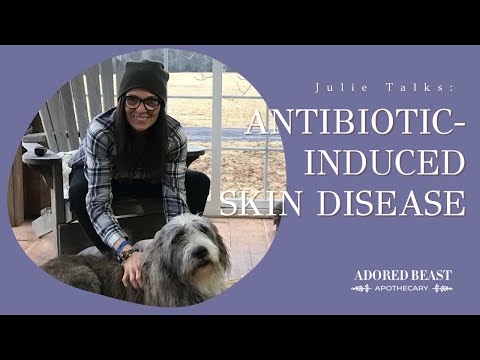 Antibiotic-induced Skin Disease in Pets