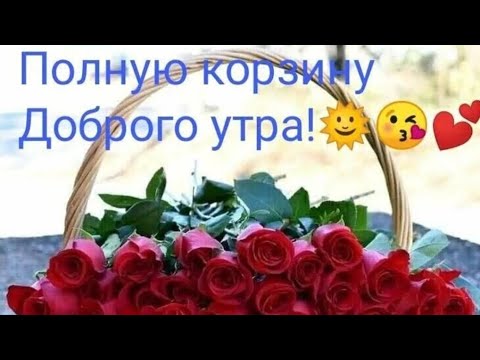 Пожелание Доброго Утра и Прекрасного дня/Вдохновения и позитива тебе на весь день!