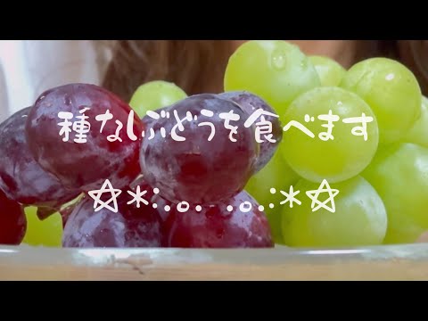 〈咀嚼音〉たねなし🍇ぶどうを食べました。／果汁たっぷり〈eatingsounds〉〈ASMR〉