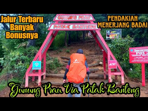 GUNUNG PRAU VIA PATAK BANTENG | JALUR TERBARU BANYAK BONUSNYA | MENERJANG BADAI