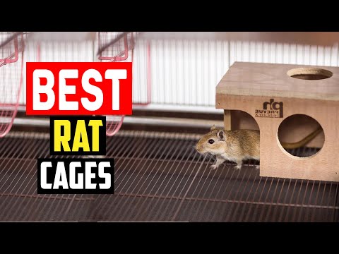 ✅Best Rat Cages in 2023