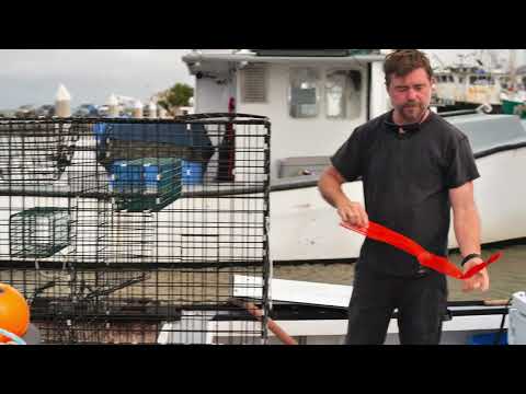 Fishing Gear Explained - Traps / Pots | with fisherman Darian Schramm