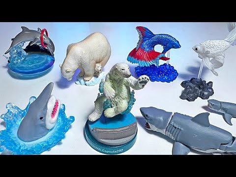 Sea Animals Gashapons - Polar Bear, Shark, Hammerhead Shark, Whaleshark, Dolphin, Betta Fish, Turtle