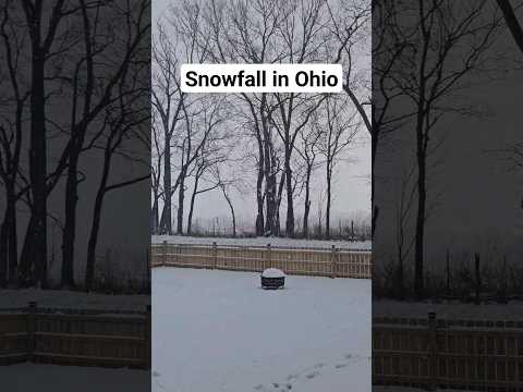 Snowfall in Ohio 2024 #ohio #snow #snowfall #shorts #2024