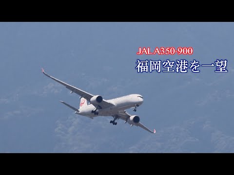 【豪快に旋回】福岡市上空を豪快に着陸、離陸をする飛行機A350-900