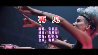 张震岳 《再见 （DJ抖音版）》KTV 导唱字幕 （备有伴奏视频）