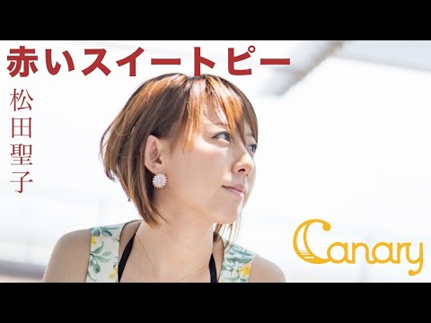 【cover】赤いスイートピー／松田聖子