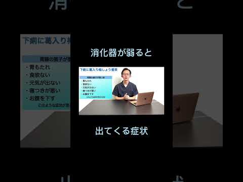 【胃腸の弱り】よく見られる症状。胃もたれ、下痢など