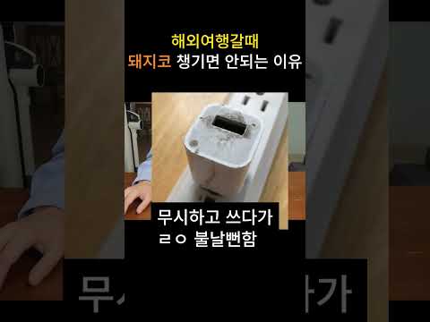 해외여행갈 때 돼지코 챙기면 안되는 이유