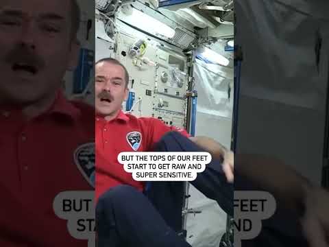 5 Senses in #space  with Chris Hadfield | CSA #shorts