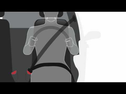 The Basics: Adjust the Seat Belts