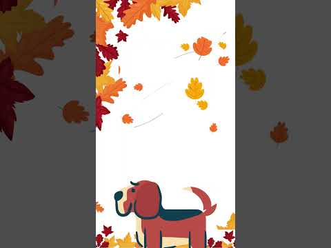 How do dogs know when it is FALL? #shortsfeed #dog #fallleaves