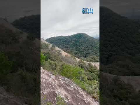 日本一低い小野アルプス　　紅山