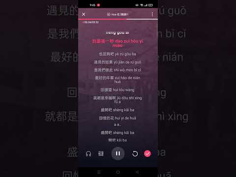 Hoa - Cúc Tịnh Y (Bản mix beat Sakura) || 花 [鞠婧祎] Karaoke Pinyin