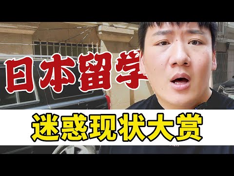 今年的日本留学 我一个从业者都觉得有问题