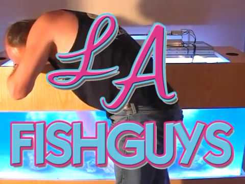 LIve Rock Live Sand, LA Fishguys, Episode 58, Part 3