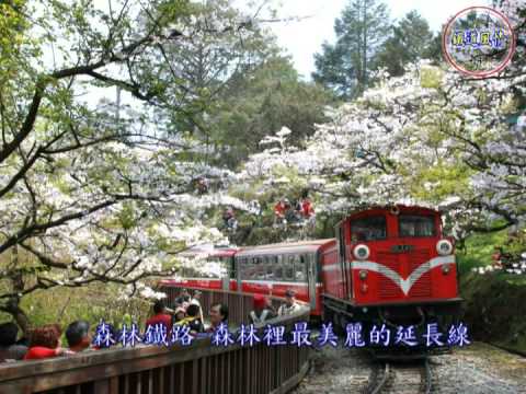 浪漫 秘境 阿里山