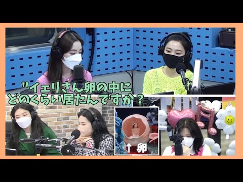 [Redvelvet 日本語字幕] イェリの卵とスルギのイチゴ話 🥚🍓