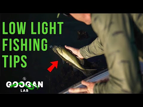 LOW LIGHT Bass FISHING TIPS ( Why is it so good? )