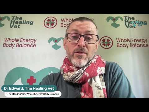 Help Your Pets With The Healing Vet #24 - Reciprocity + Trust