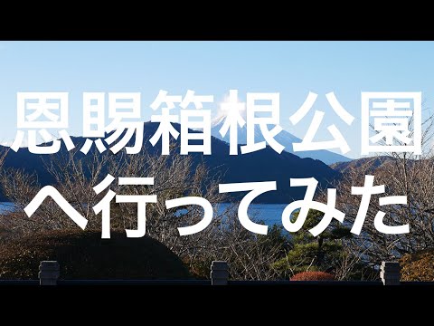 【箱根】恩賜箱根公園 2024/12/08