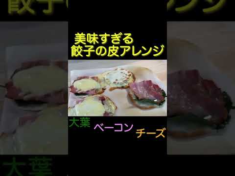 Gyoza skin arrangement recipe [* very easy]