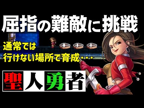 【DQ7】序盤でマリベルをLv99にして最強の敵と戦う（アイラ育成編）～　祝・ドラゴンクエスト 35周年記念