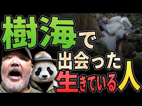 樹海で生きている人と遭遇！ 何をしようとしていたのか？ 恐ろしい体験!!