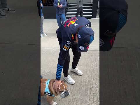 When Checo sees Roscoe 😍🐶 #F1 #RedBullRacing #BritishGP