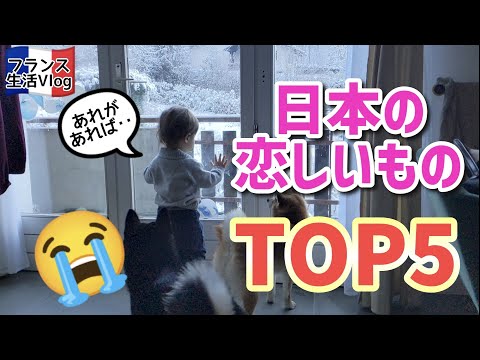 フランス生活で恋しい日本ものTOP５　やっぱり１位は・・